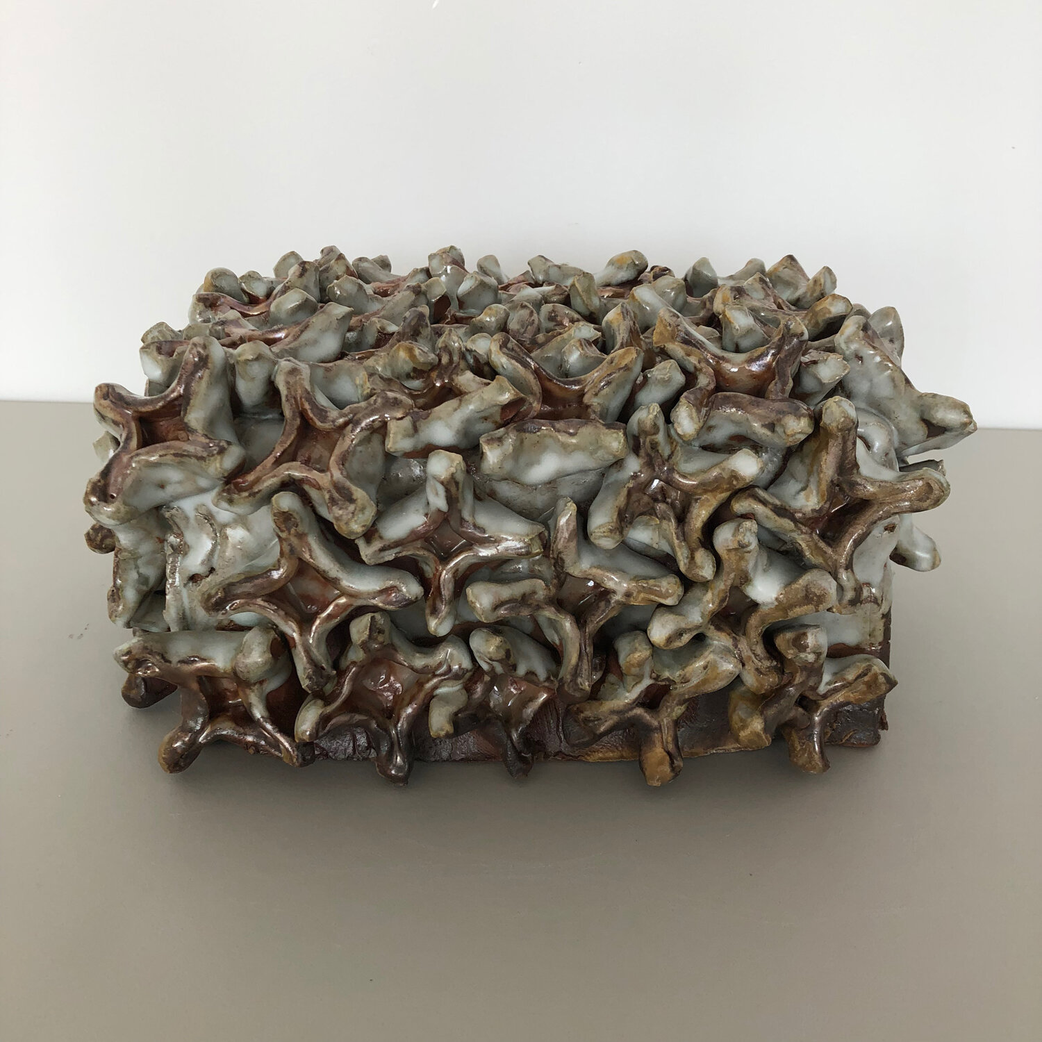 Funerary Box with growths, 2019, wood fired ceramic, 5 1/2 x 12 x 9"