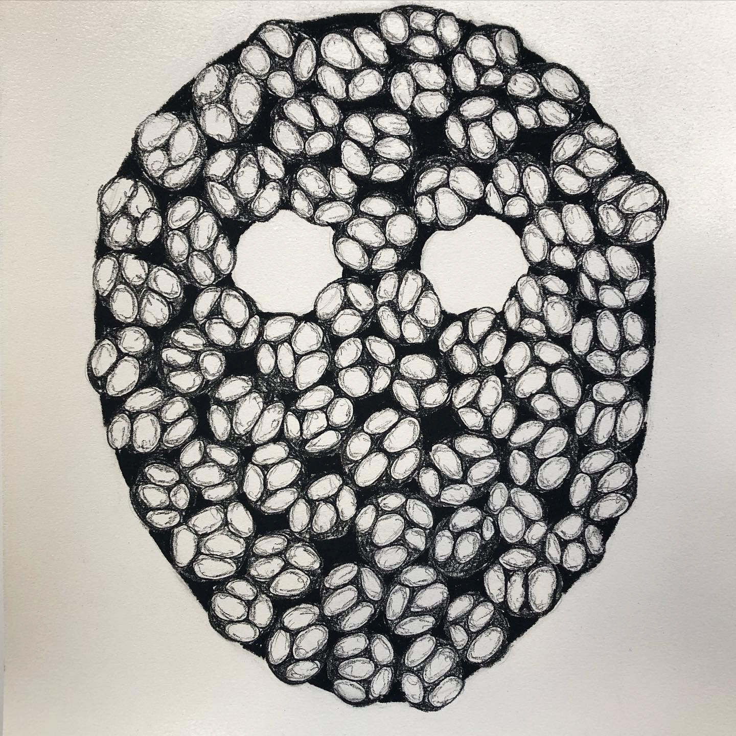 Mask, 2020, charcoal on paper, 15 1/2 x 13 3/4"