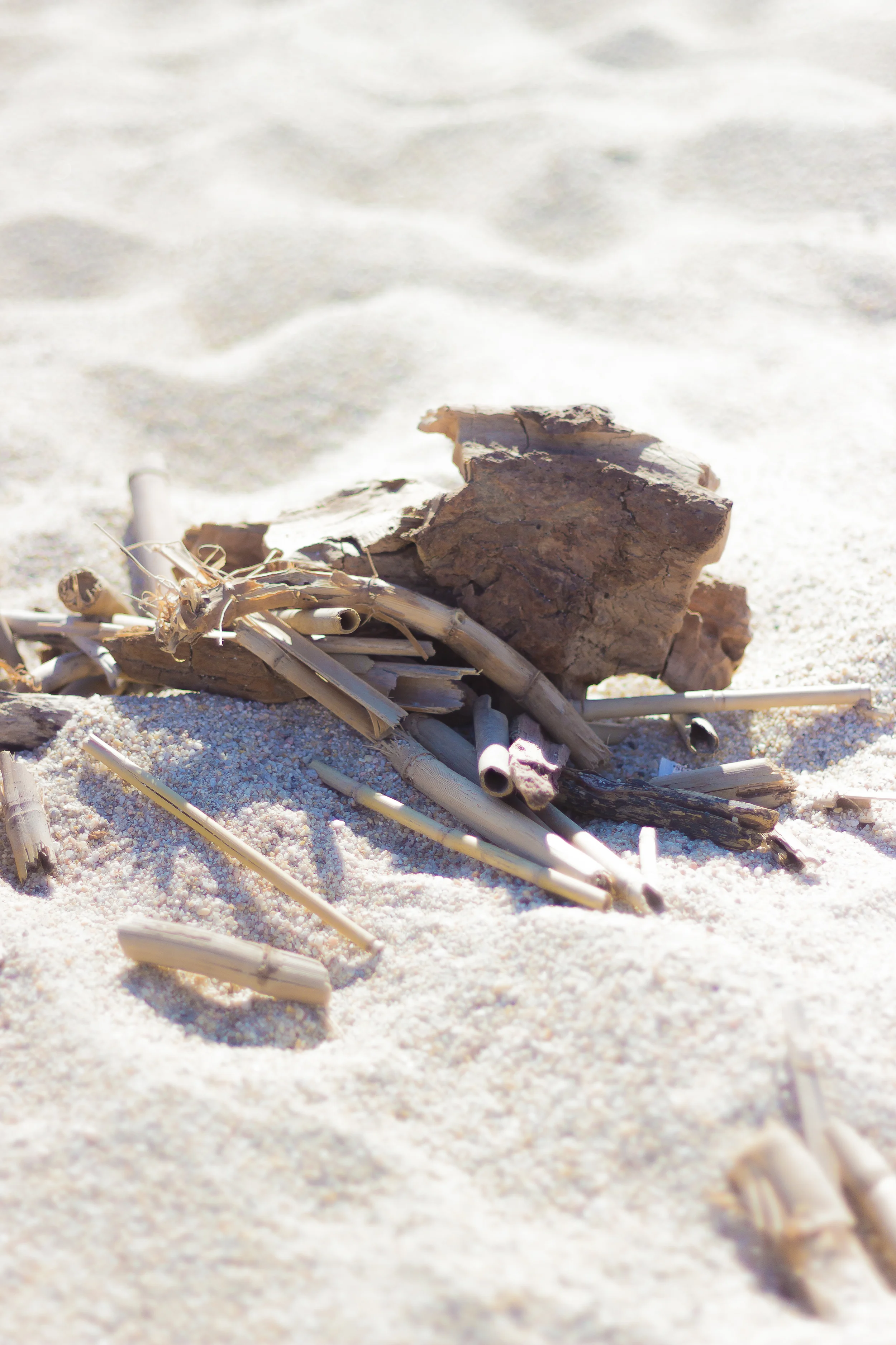 Cabo 2015-11.jpg