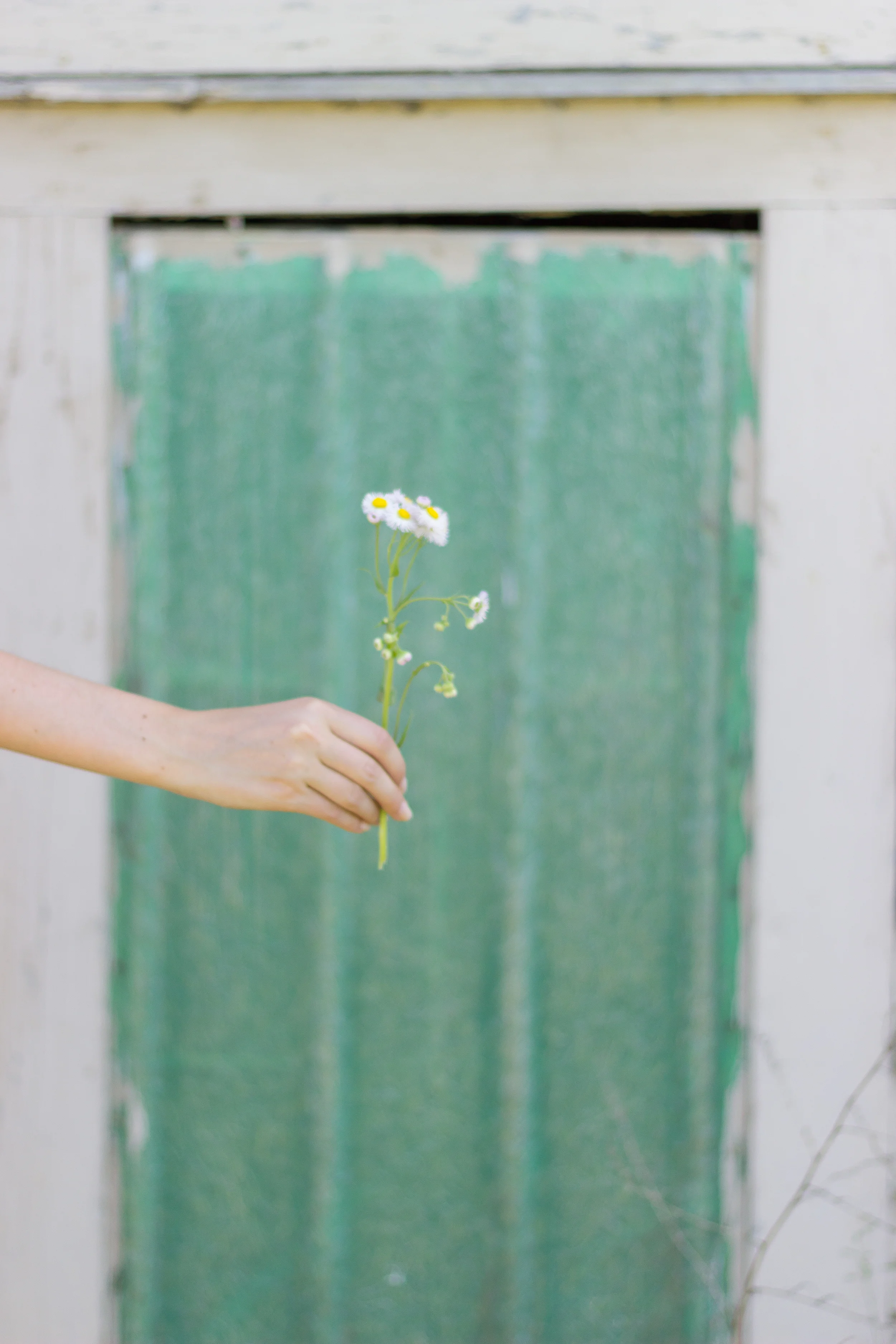 Alexa's Graduation-130.jpg