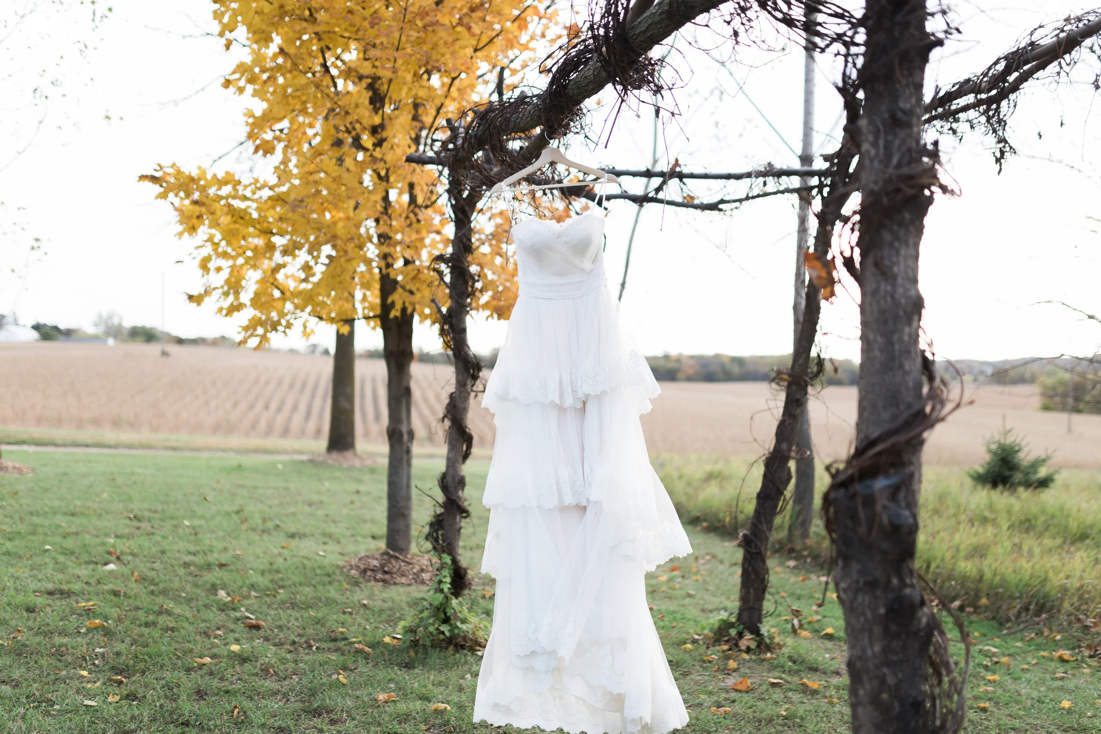 Backyardwedding-4.jpg