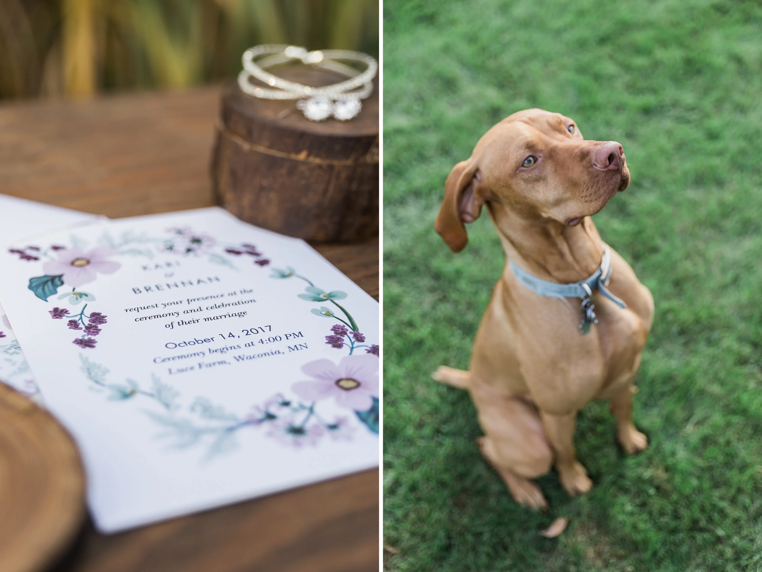 Backyardwedding11.jpg