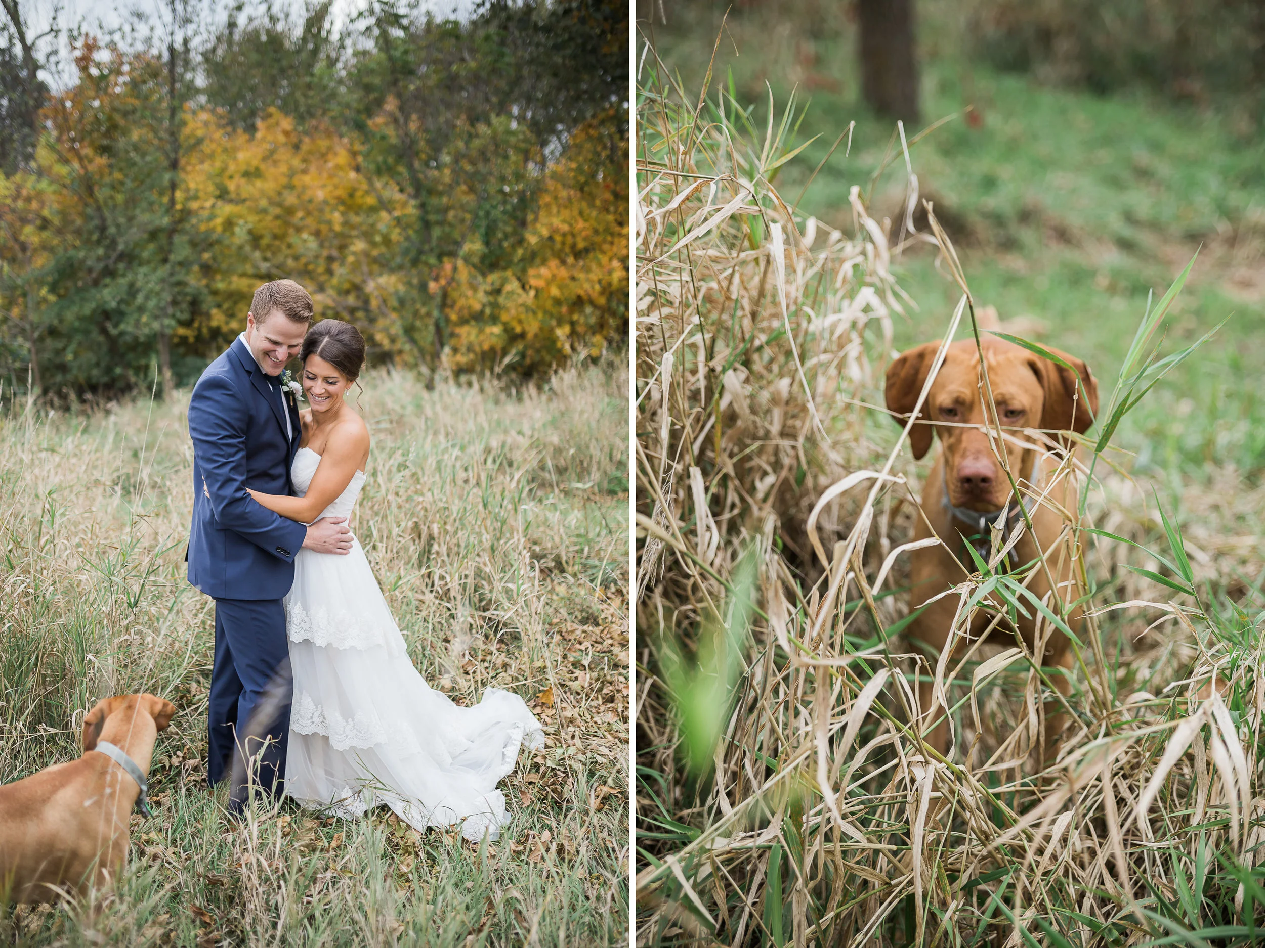 Backyardwedding31.jpg