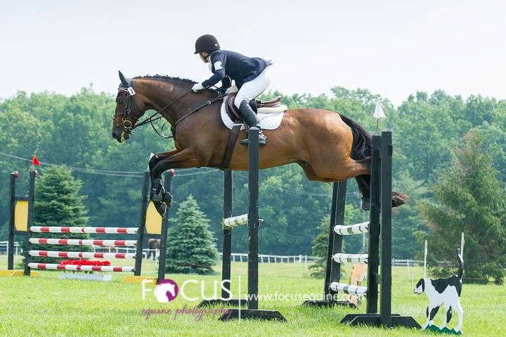 count stadium encore.jpg