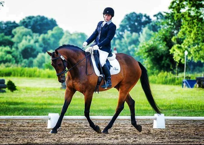 count dressage.jpg