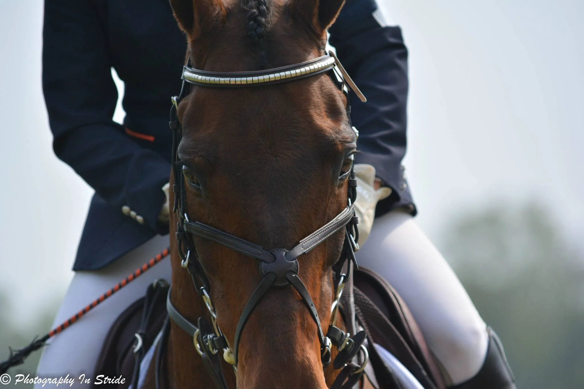 Stone Gate '15 - 4.jpg