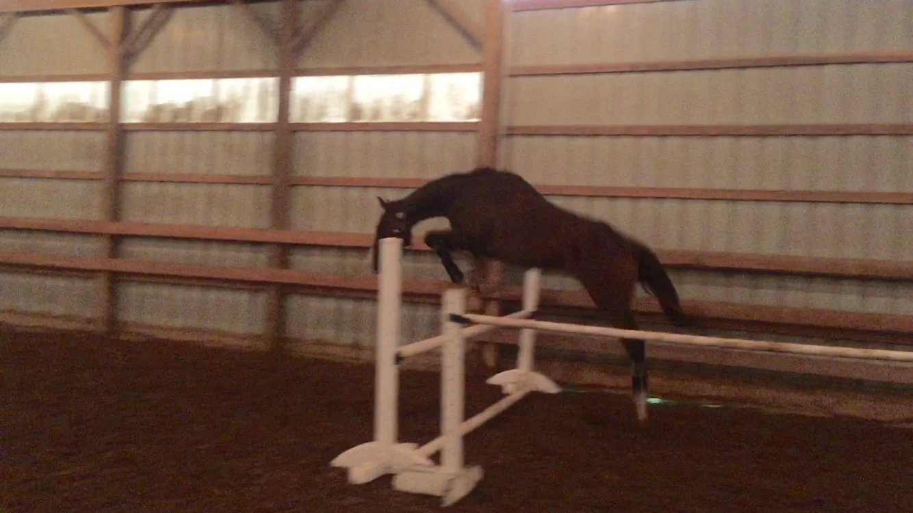moxie free jump.jpg