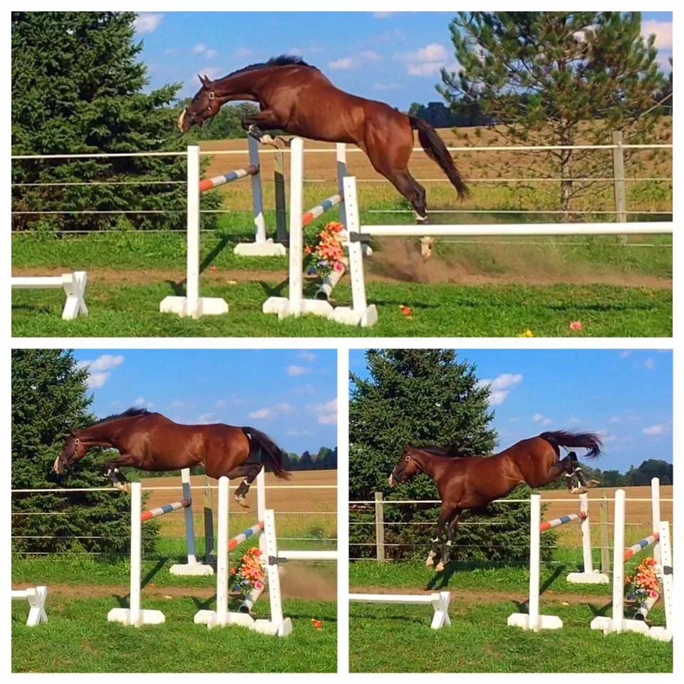 moxie free jump sept. 2016.jpg