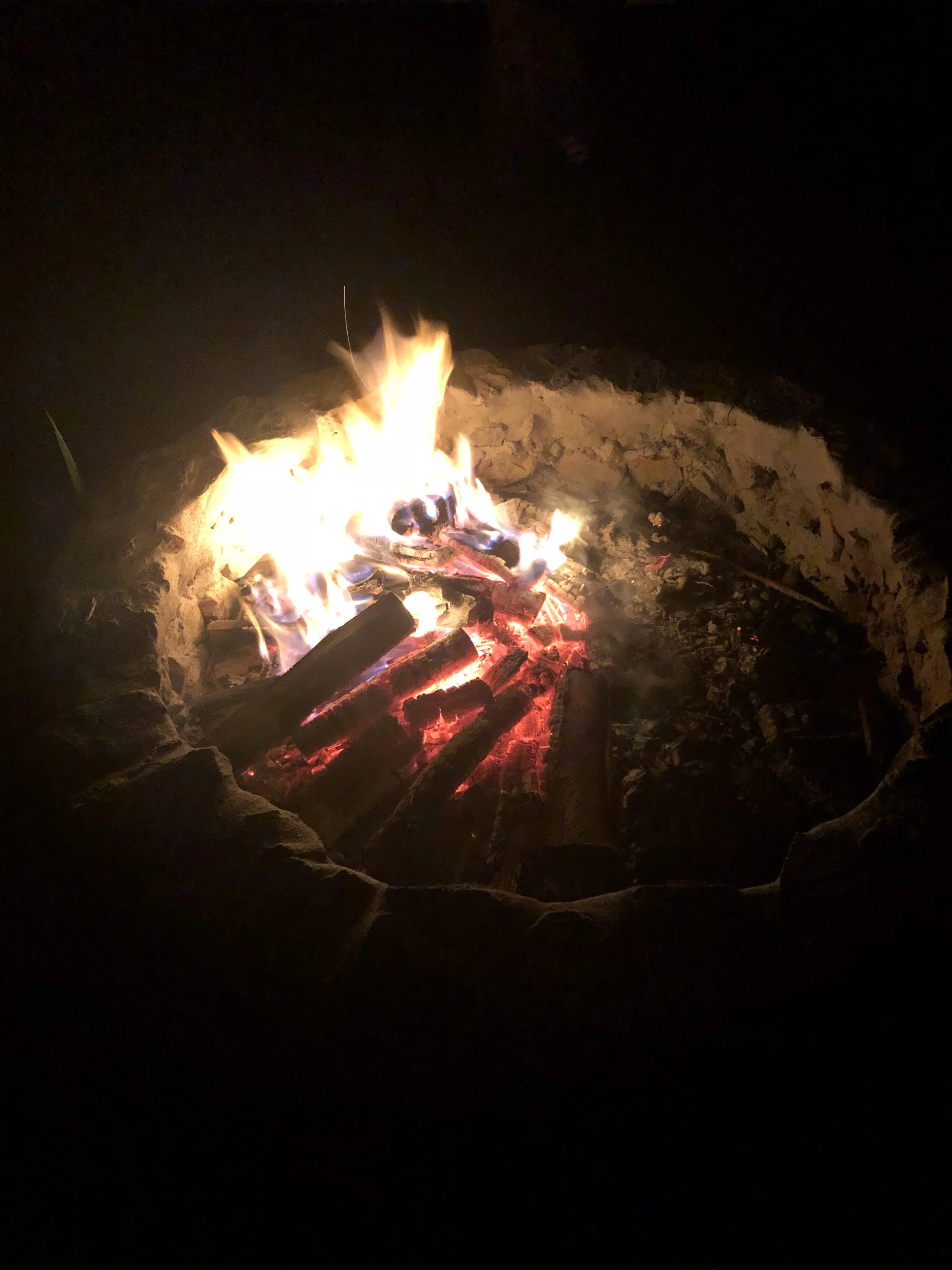 IMG_2827.jpeg
