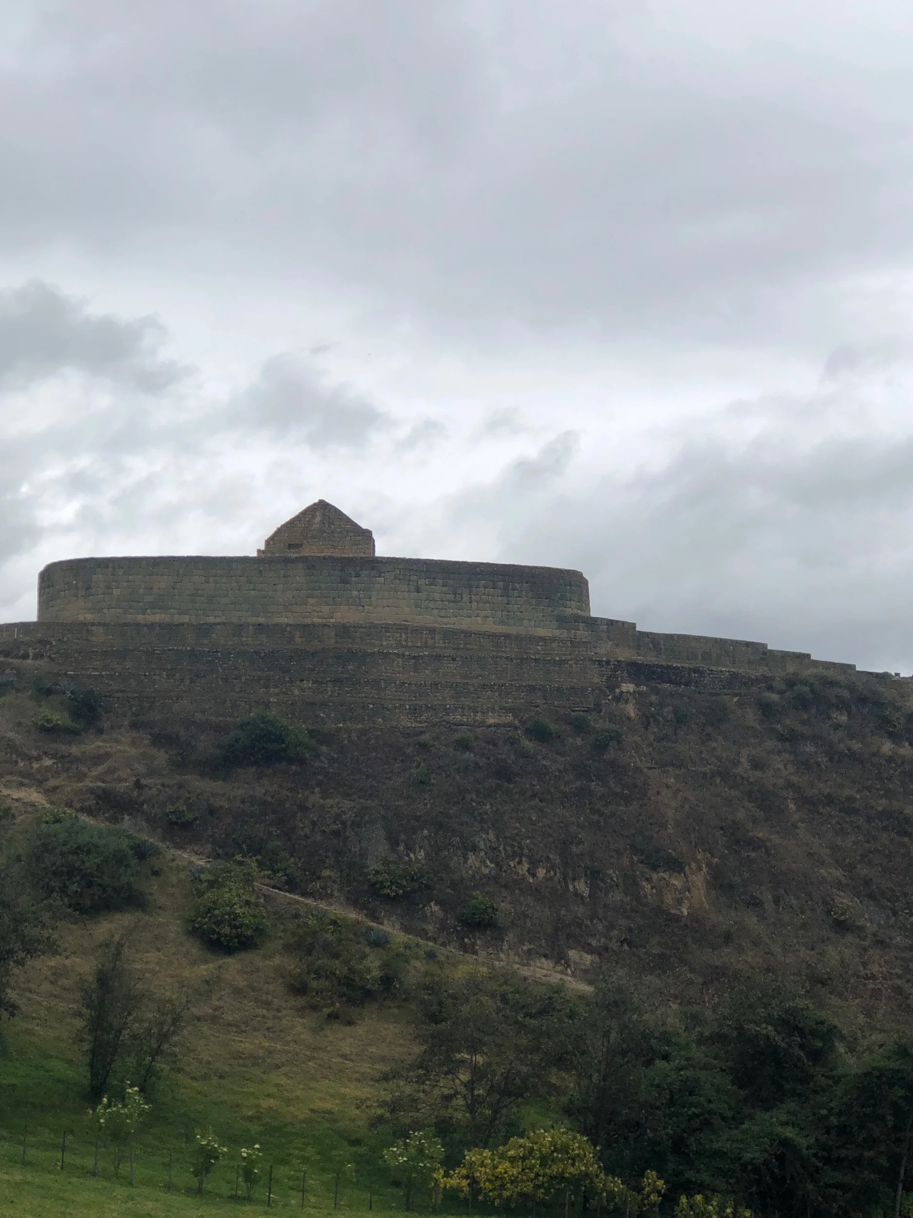 IMG_2250.jpeg