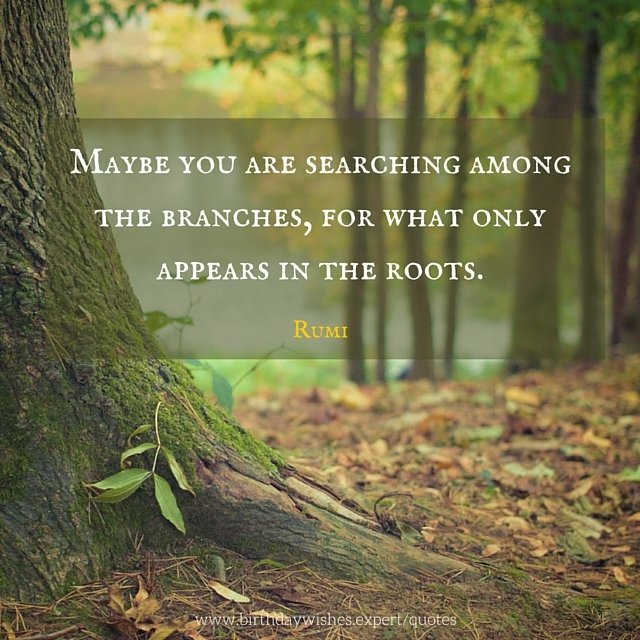 Maybe-you-are-searching-among-the-branches-for-what-only-appears-in-the-roots..jpg