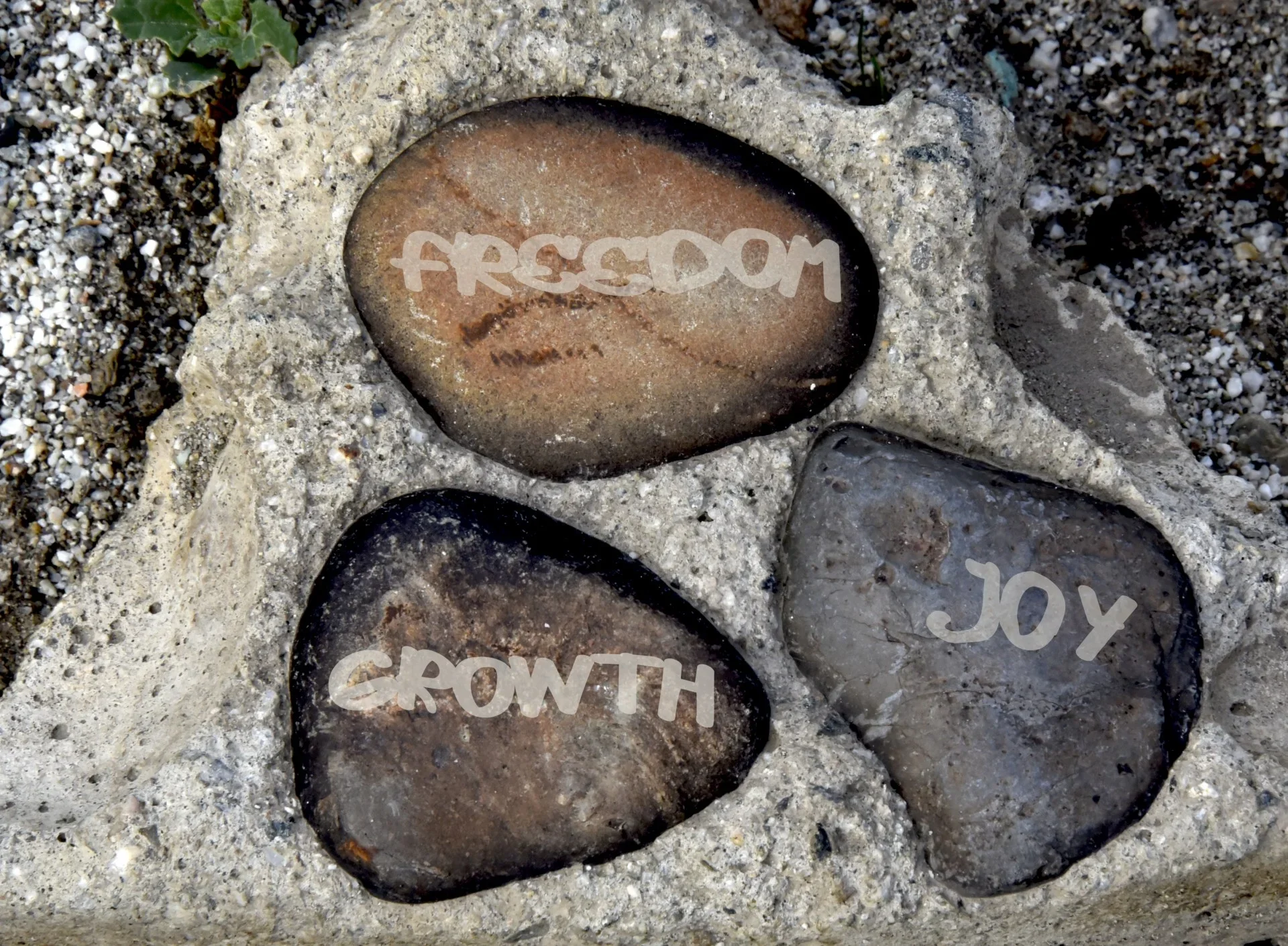 freedom-growth-joy.jpg.webp