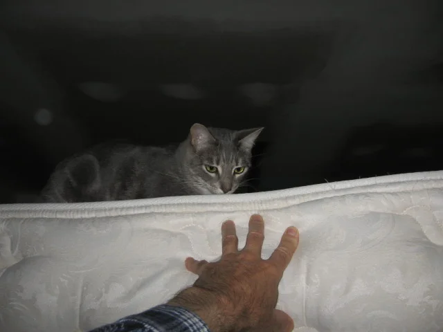 helper