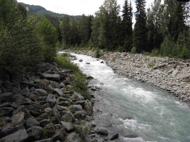 The creek