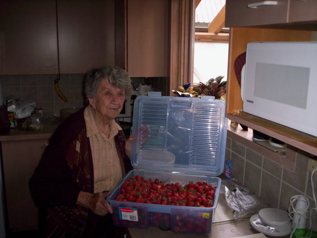 Berries picked