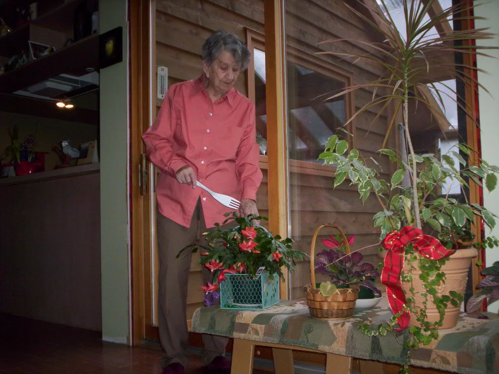Cultivating the cactus