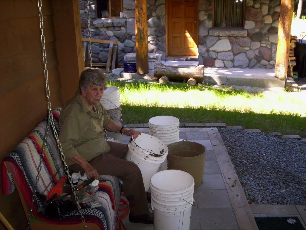 Cleaning pails 