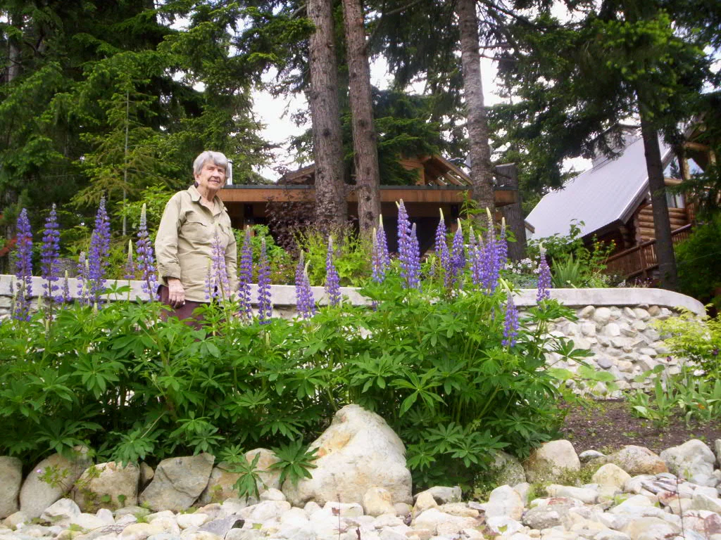 Mom and her lupines