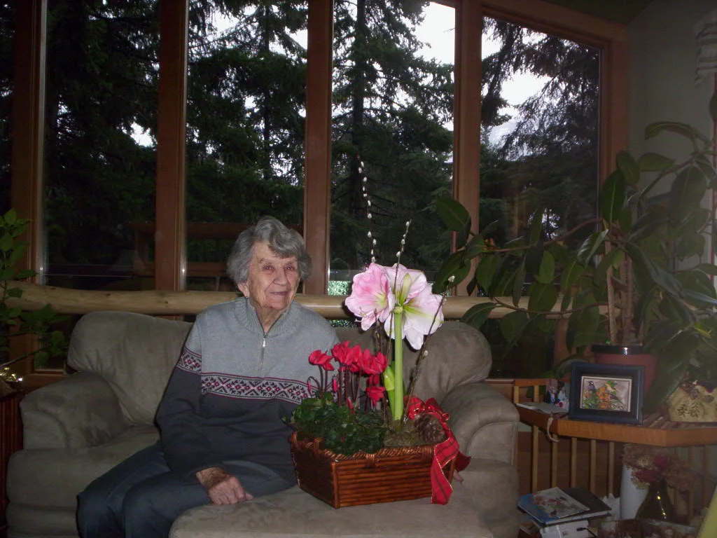 Christmas flower
