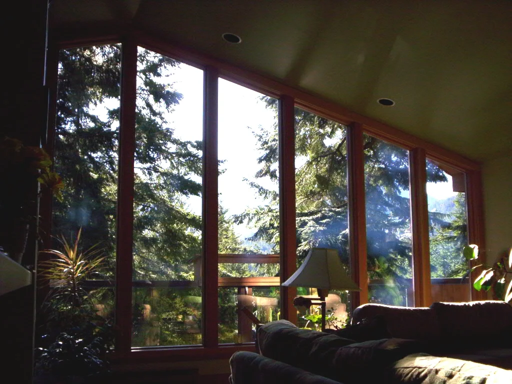 Living room windows
