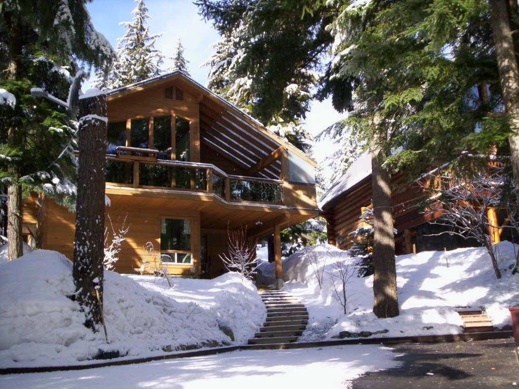 Winter scene