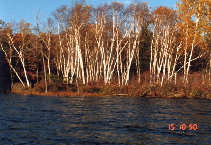 fimg_0006.jpg