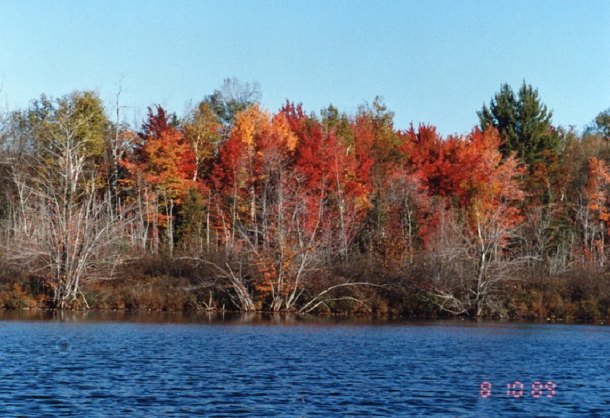 fimg_0014.jpg