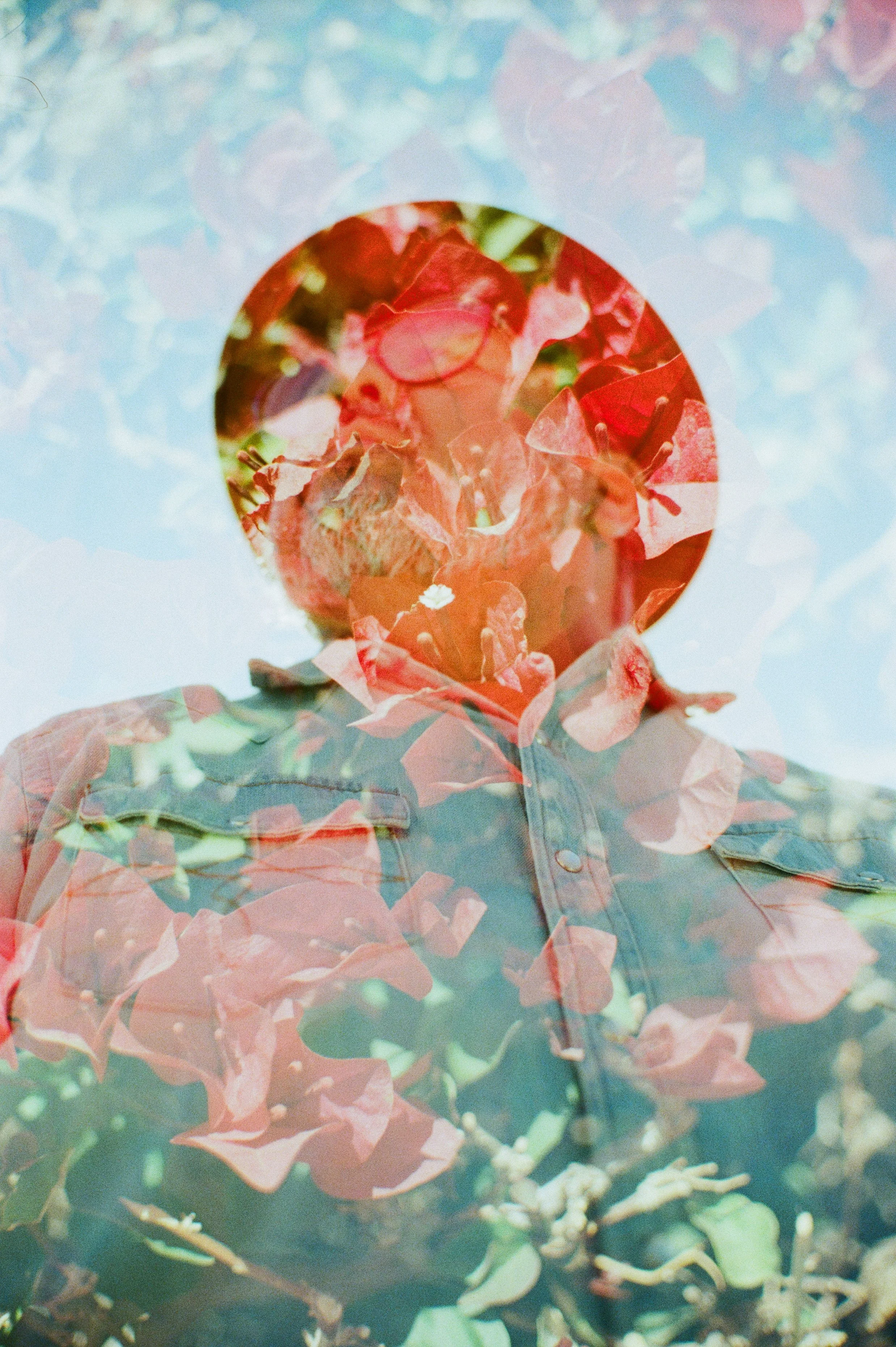 A double exposure image of bougainvilleas and a man wearing glasses and a hat.
