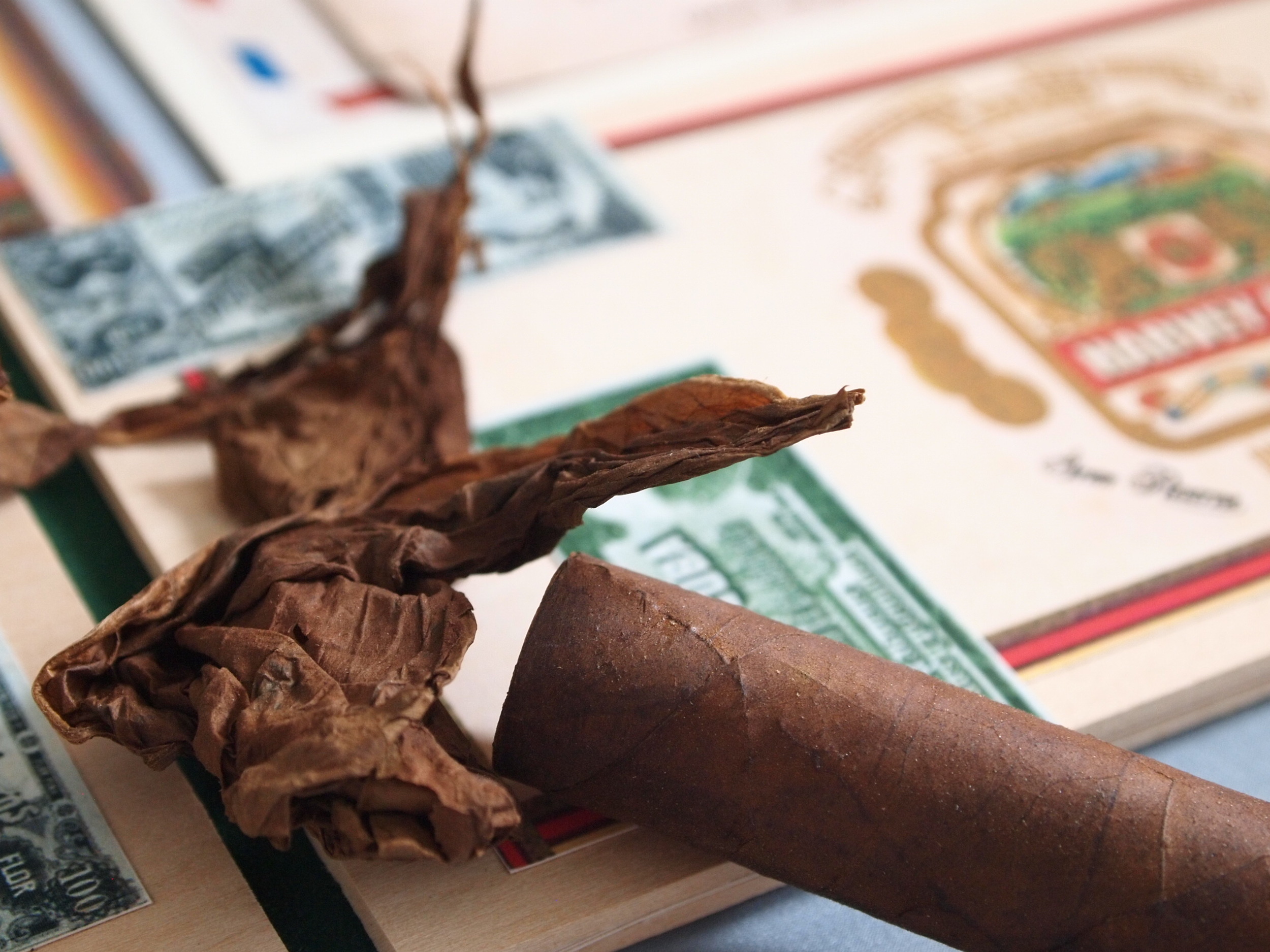   Invitation design and production: Alex + Mima    Illustration: The Collective | Alex + Mima  