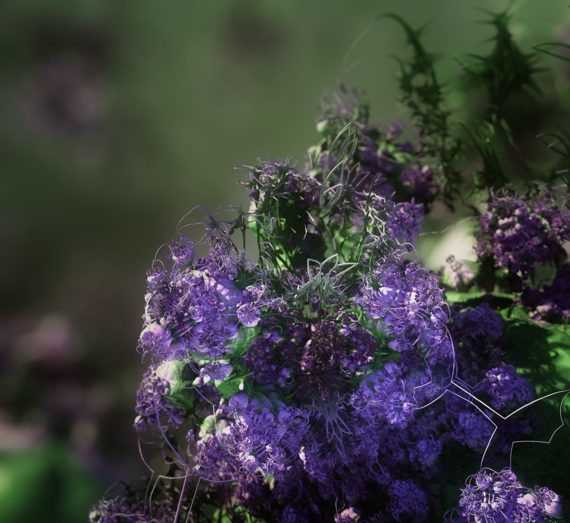 Lavender 1920x1760