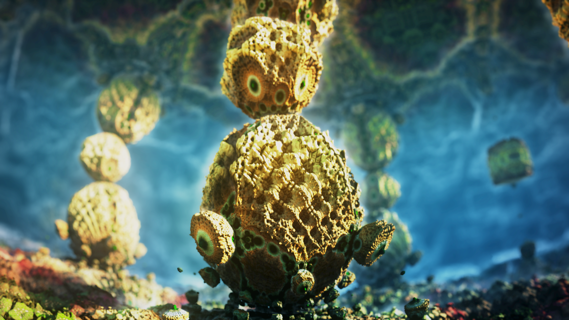 GARDEN_Cacti (00316).png
