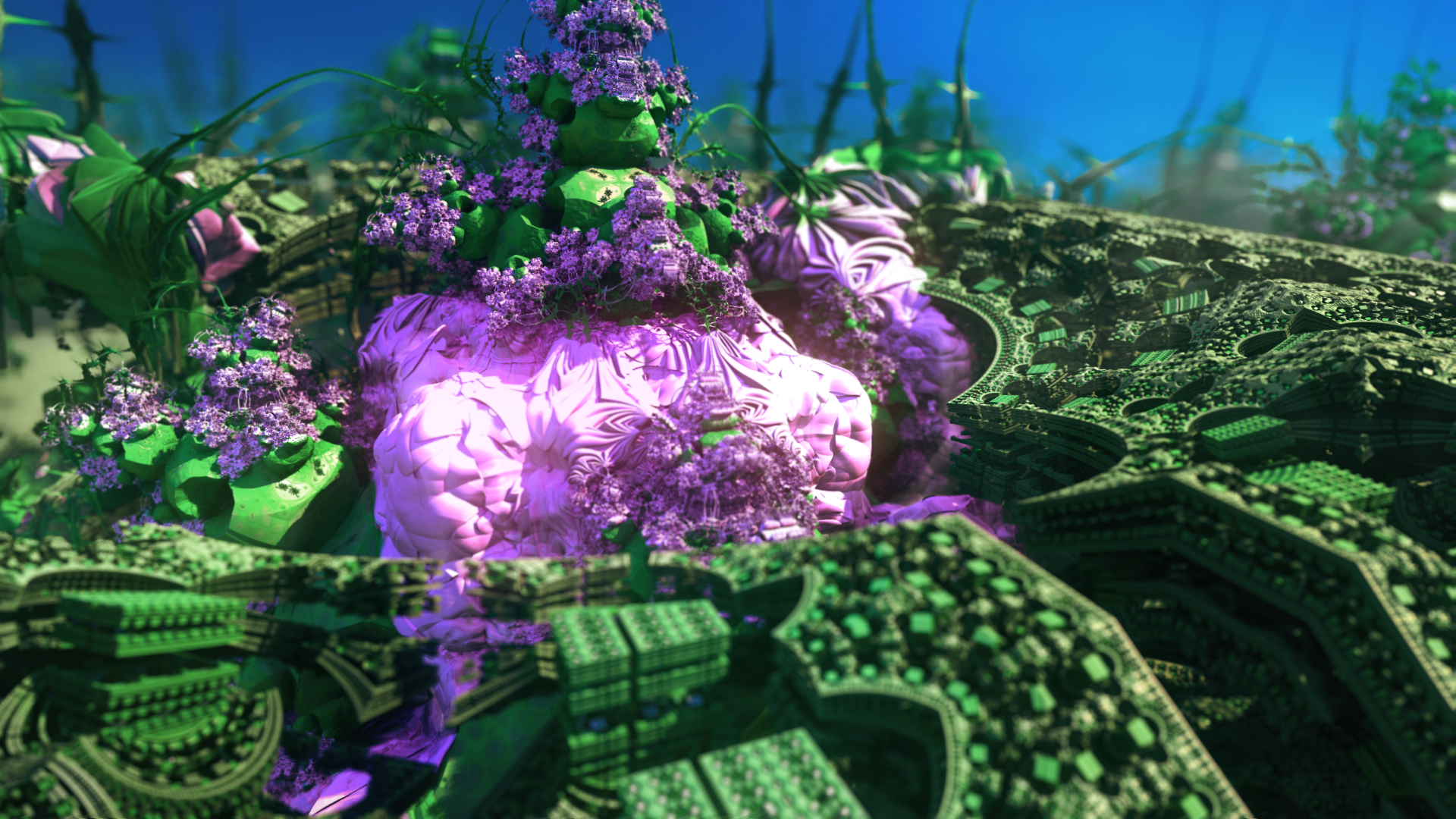 GARDEN_Gardenmorpher (00075).png