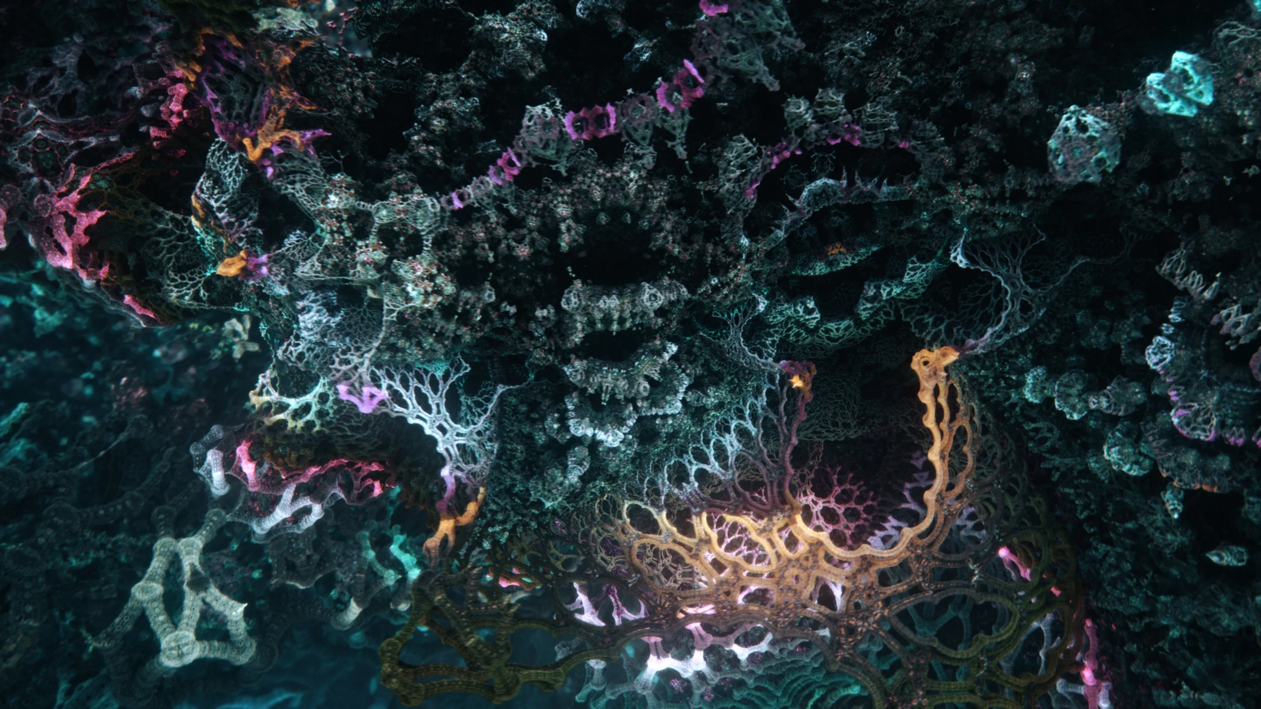 TheCoral_01168.jpg