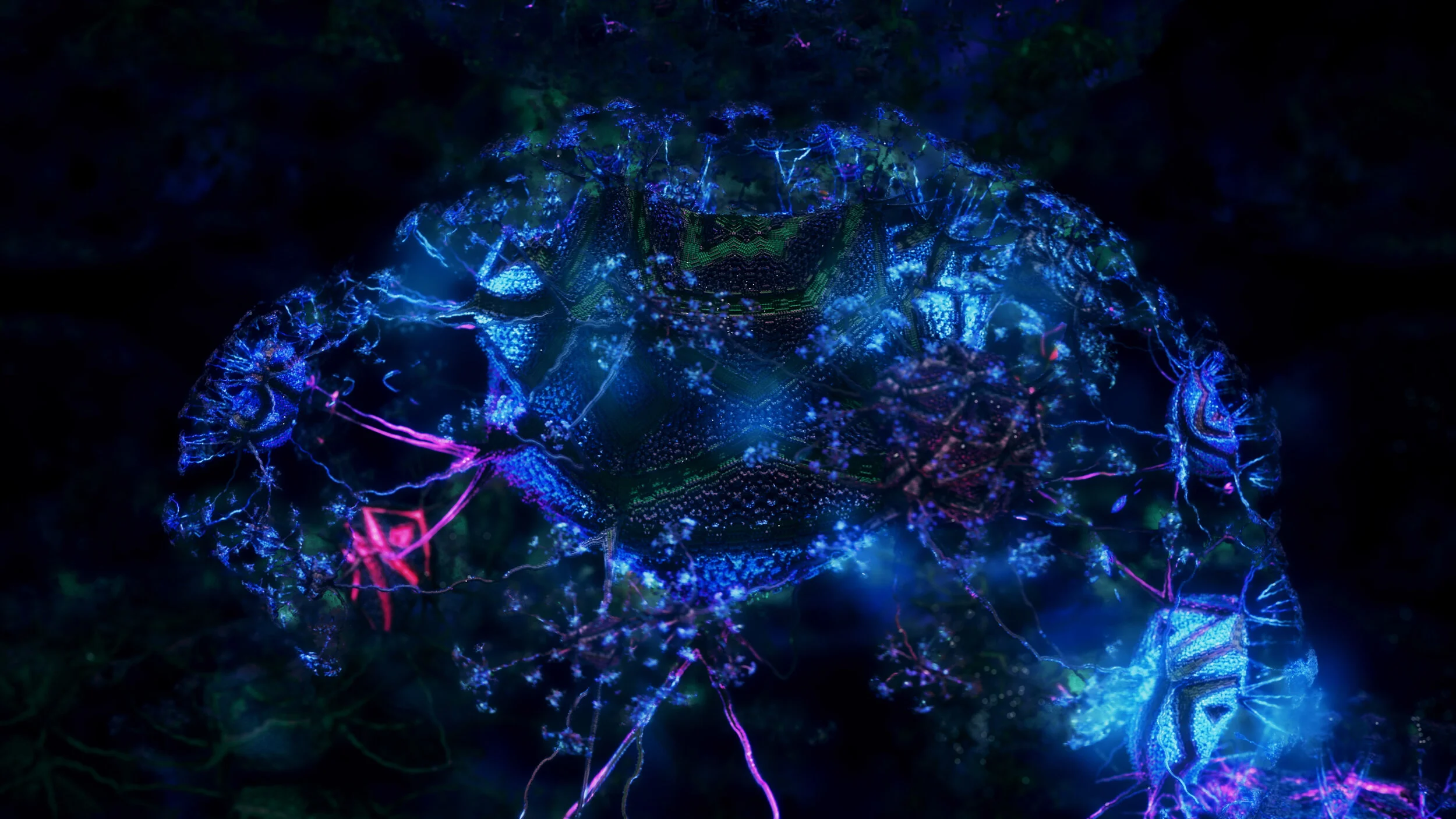 CORAL_Dandelion_Night (00294).jpg