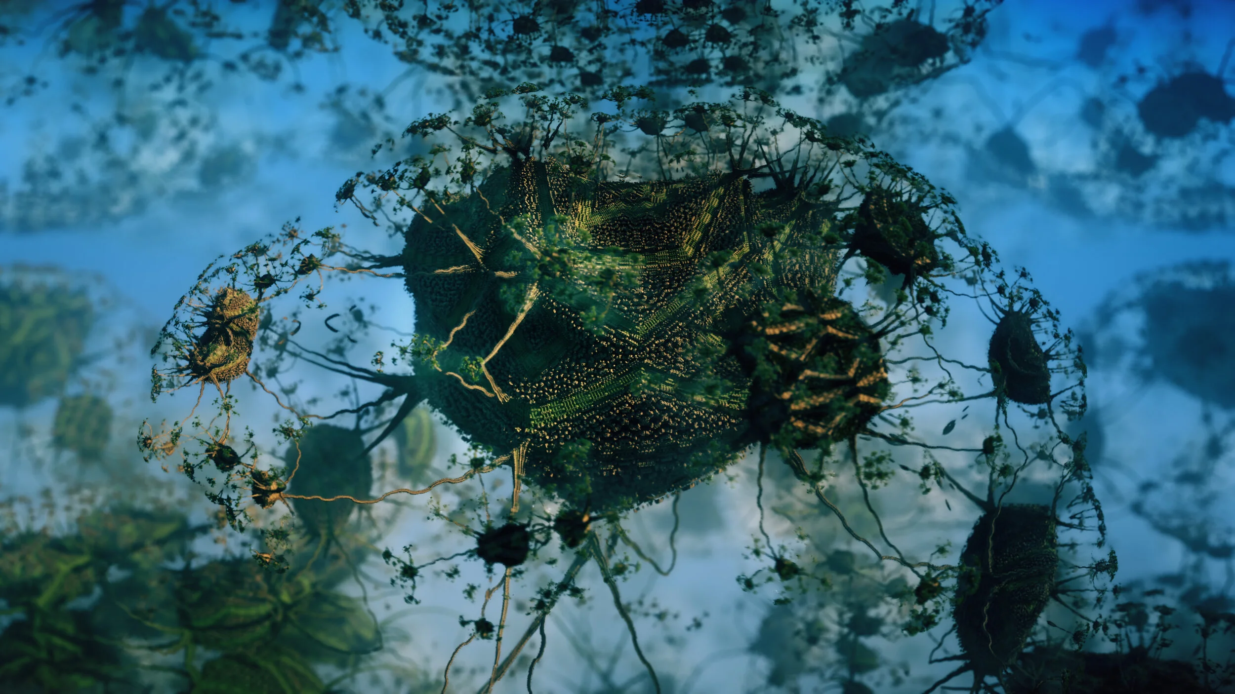 CORAL_Dandelion_Day (00294).jpg