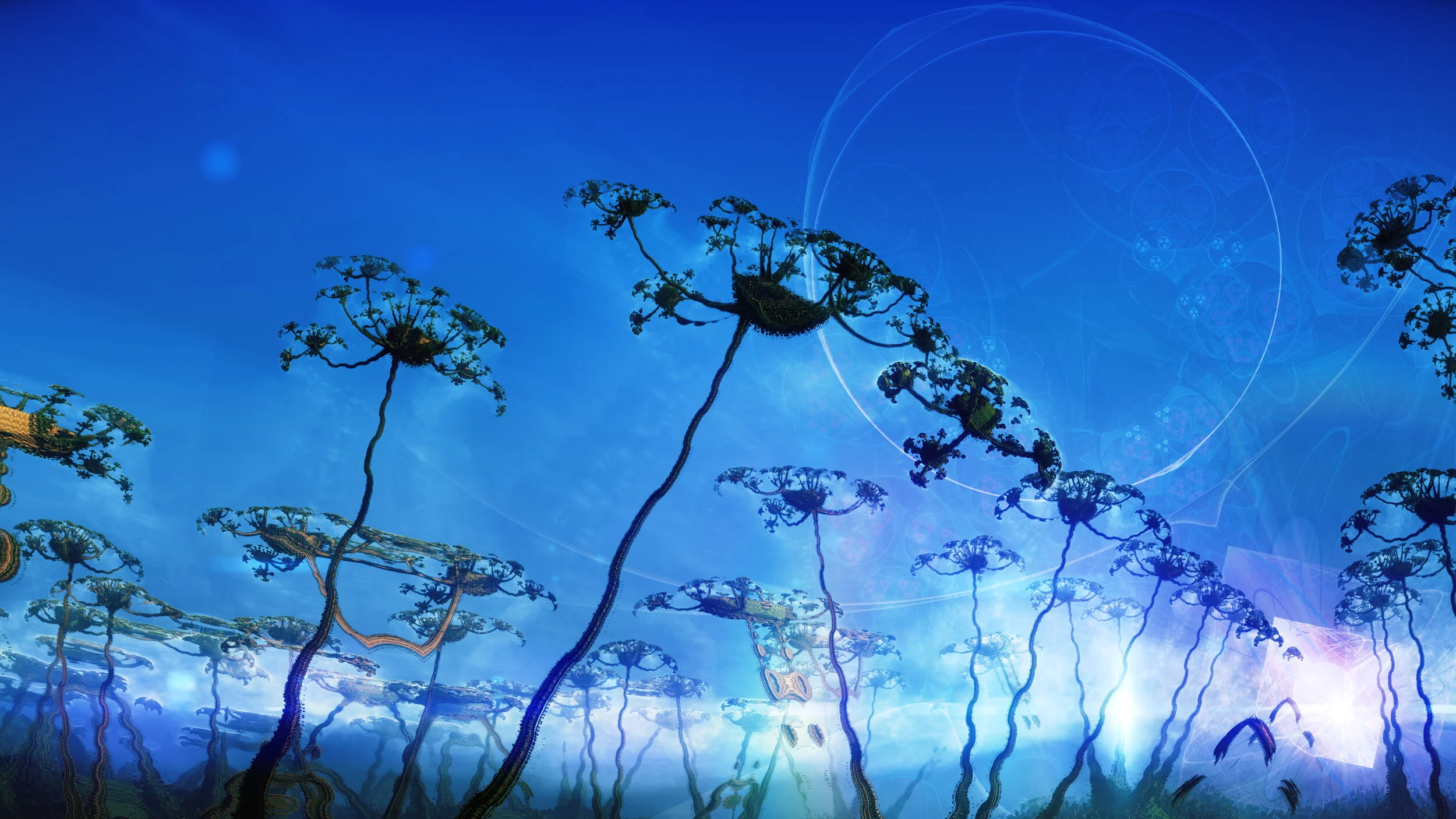 CORAL_GascarDandelions_Day (00337).jpg
