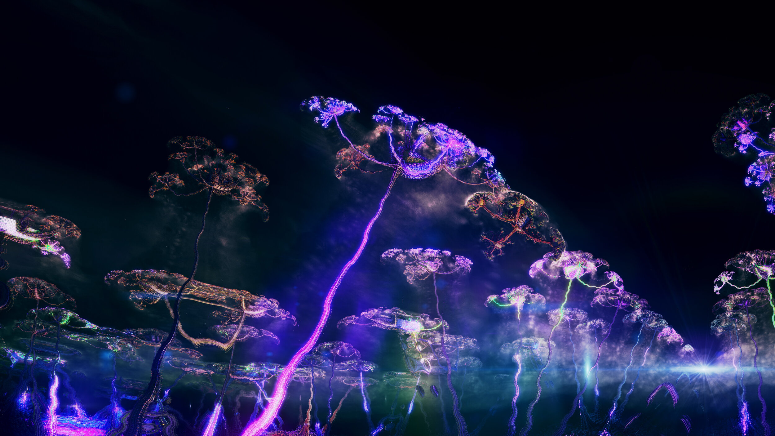 CORAL_GascarDandelions_Night (00337).jpg