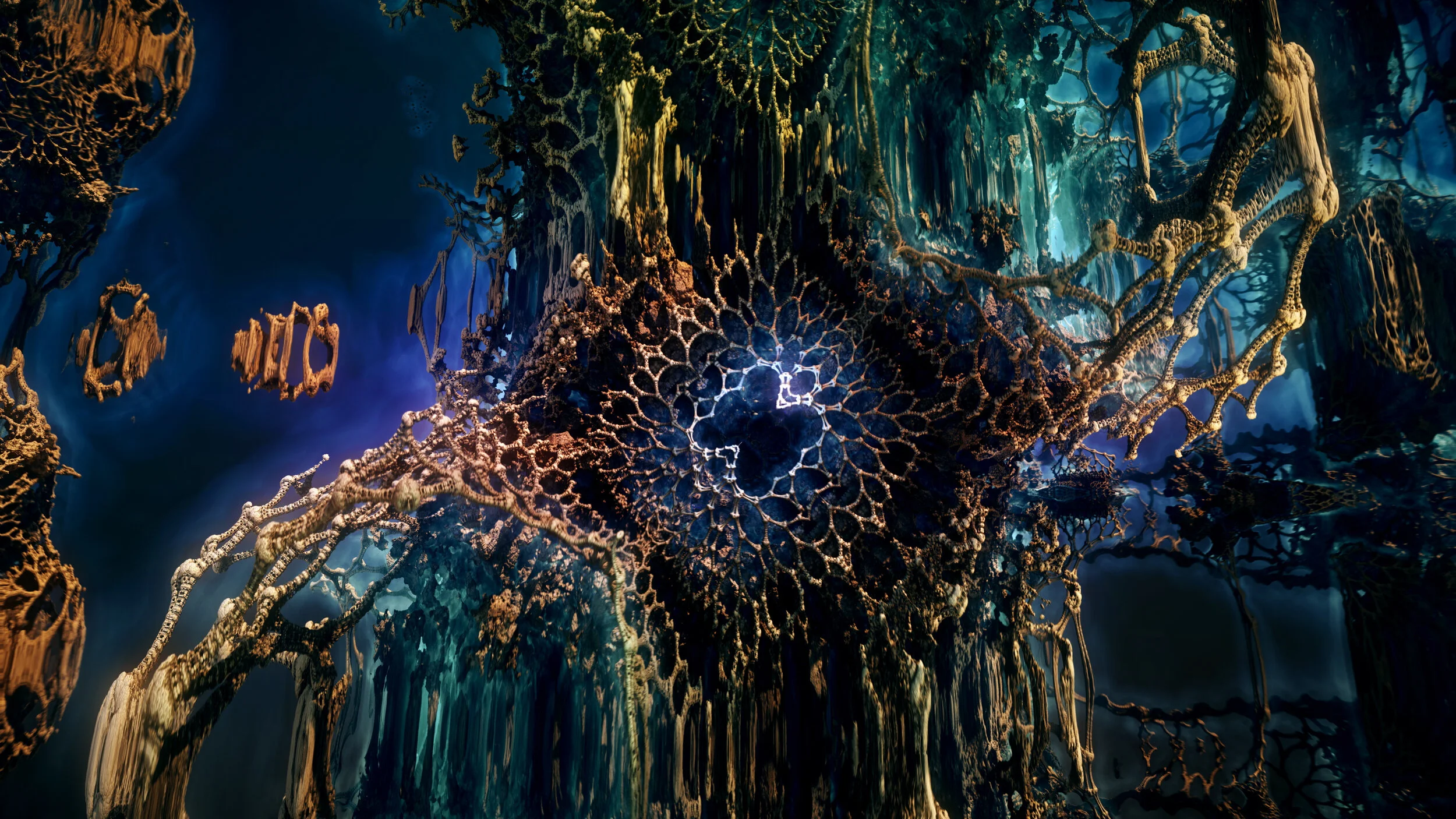 CORAL_MengerRotate_Day (00463).jpg