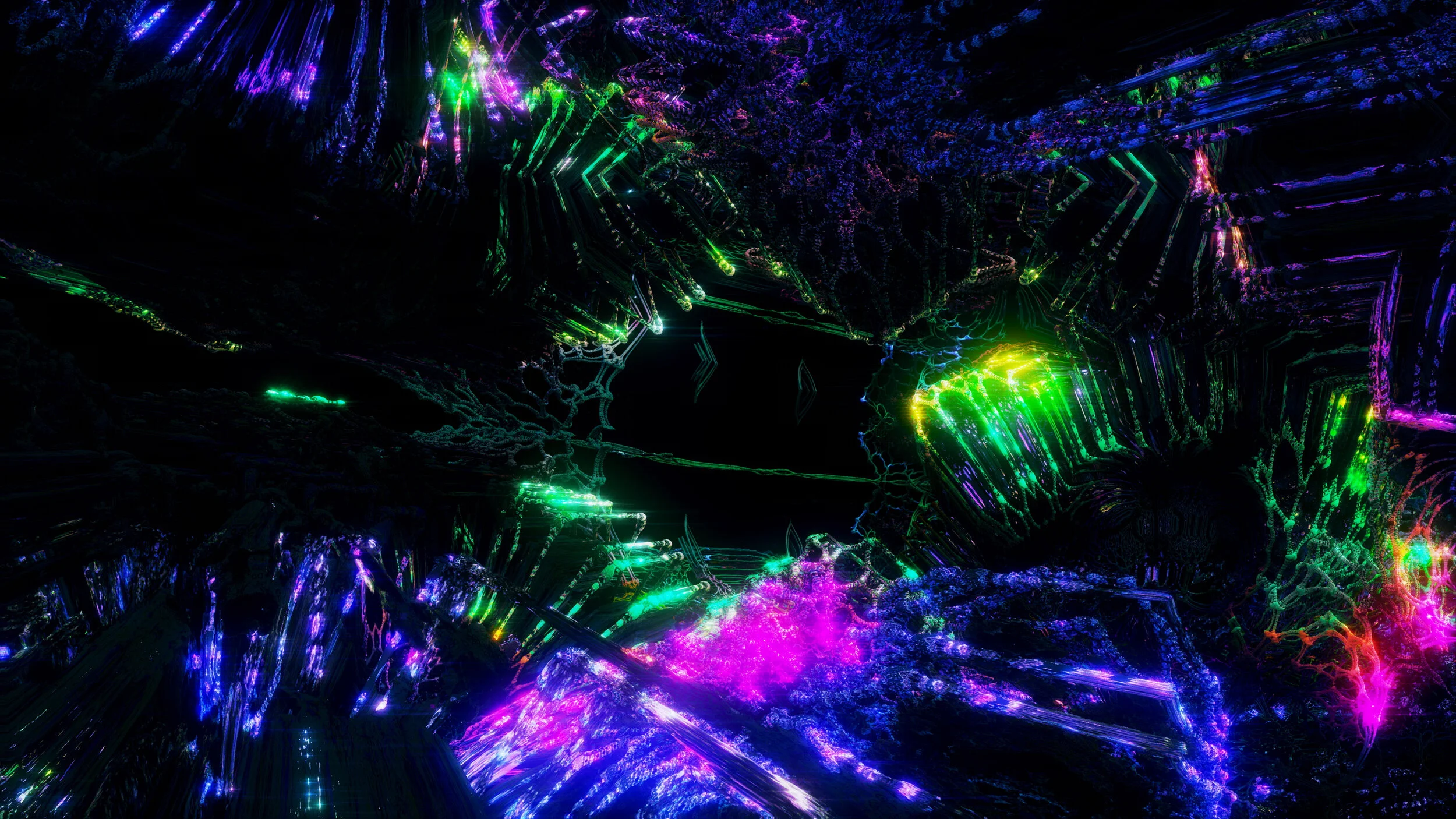 CORAL_Rotation_Night (00140).jpg