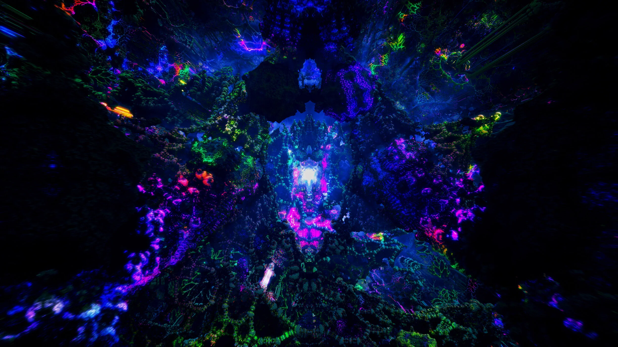 CORAL_SinFly_Night (00411).jpg