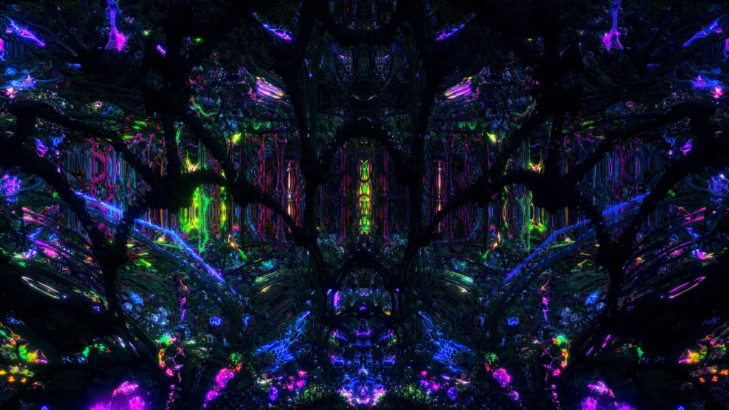 CORAL_Web_Night (01516).jpg