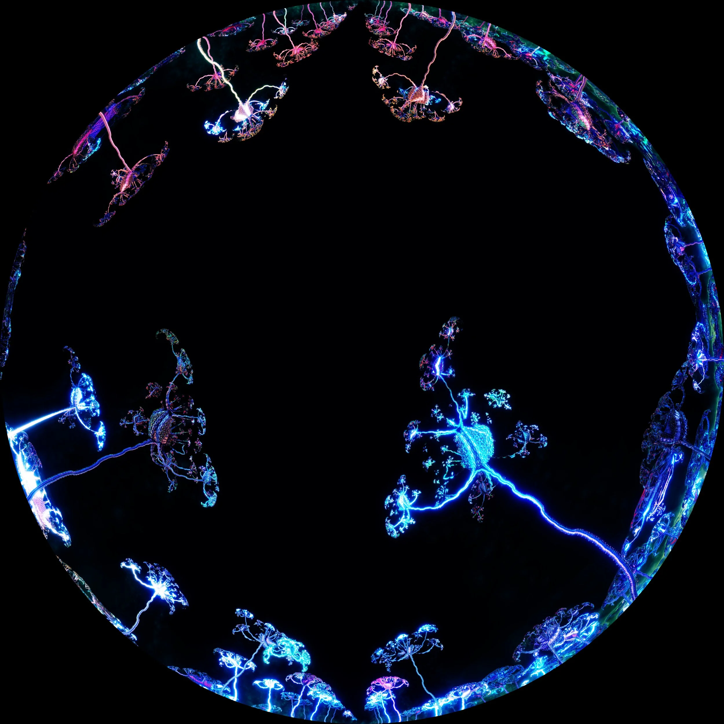 GascarDandyNight_1.mov.01_00_14_26.Still001.jpg (Copy)