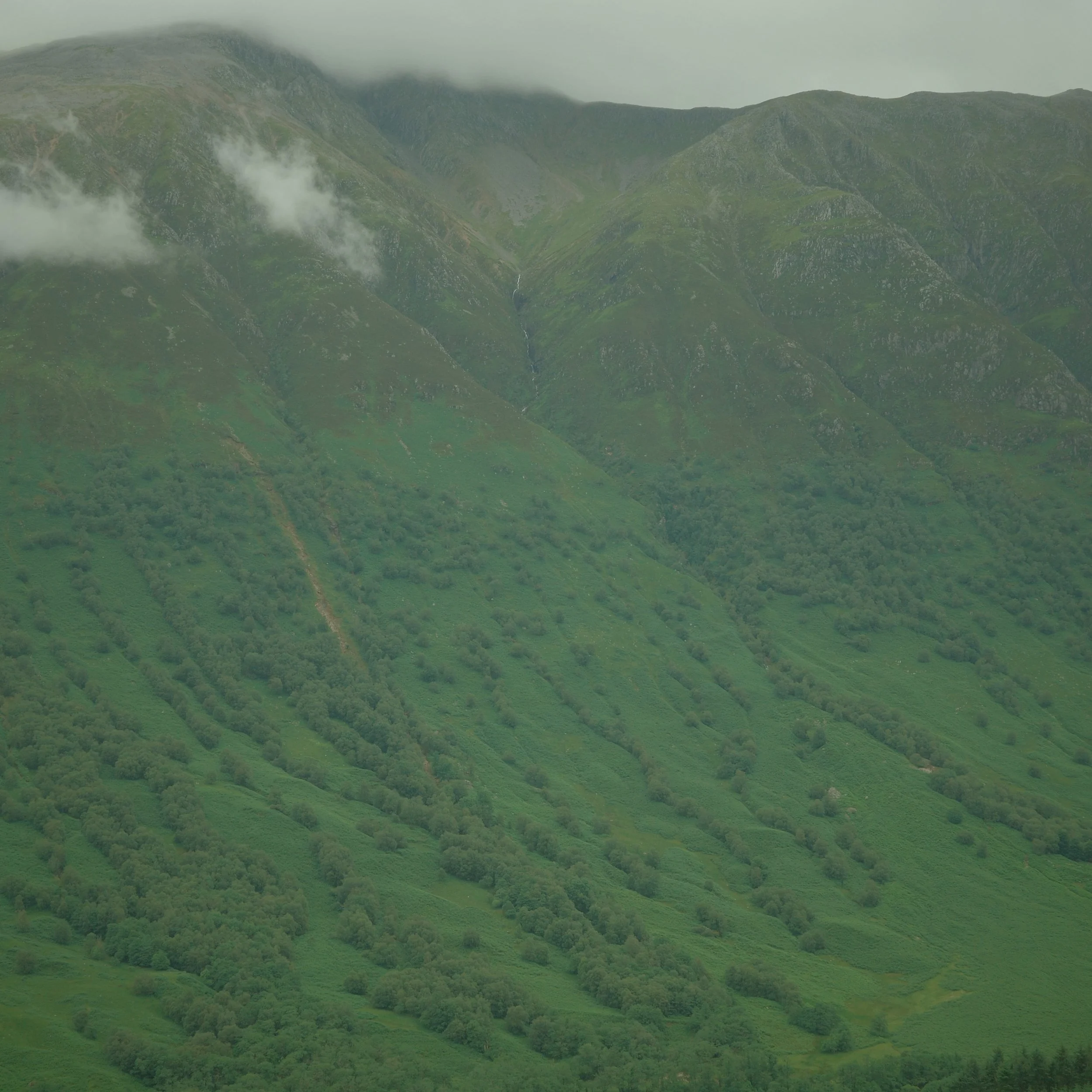 R0003990.jpg