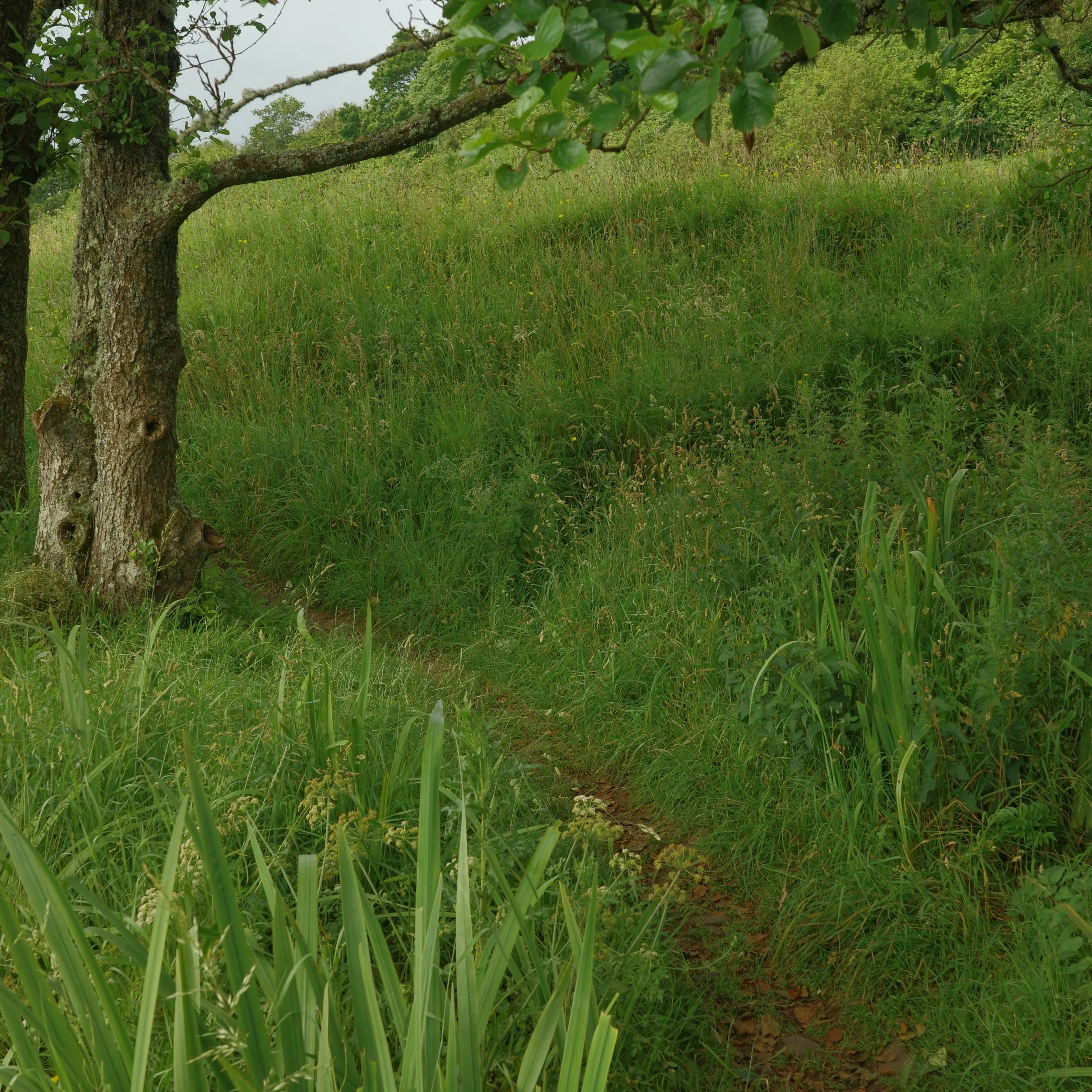 R0004722.JPG