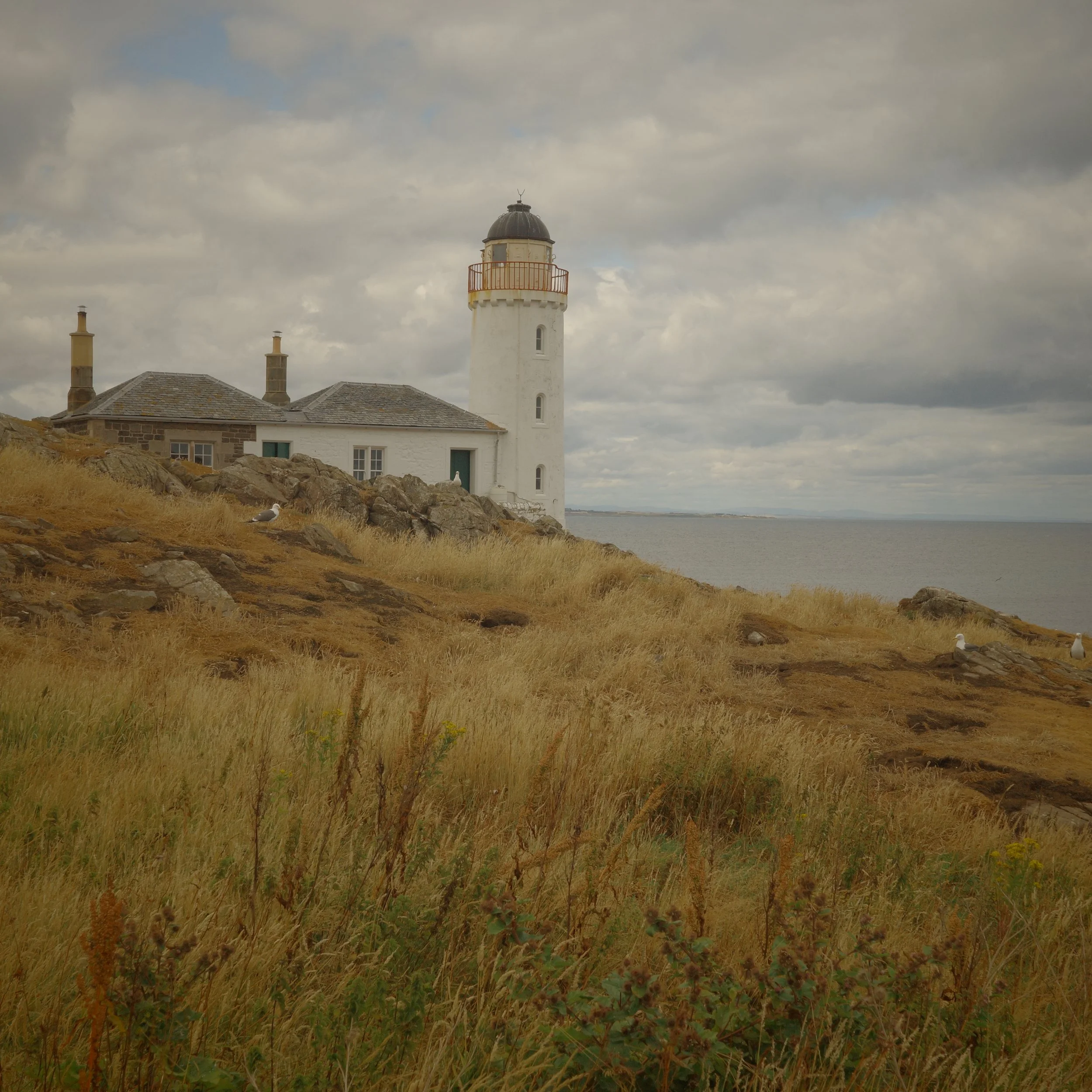 R0005065.JPG