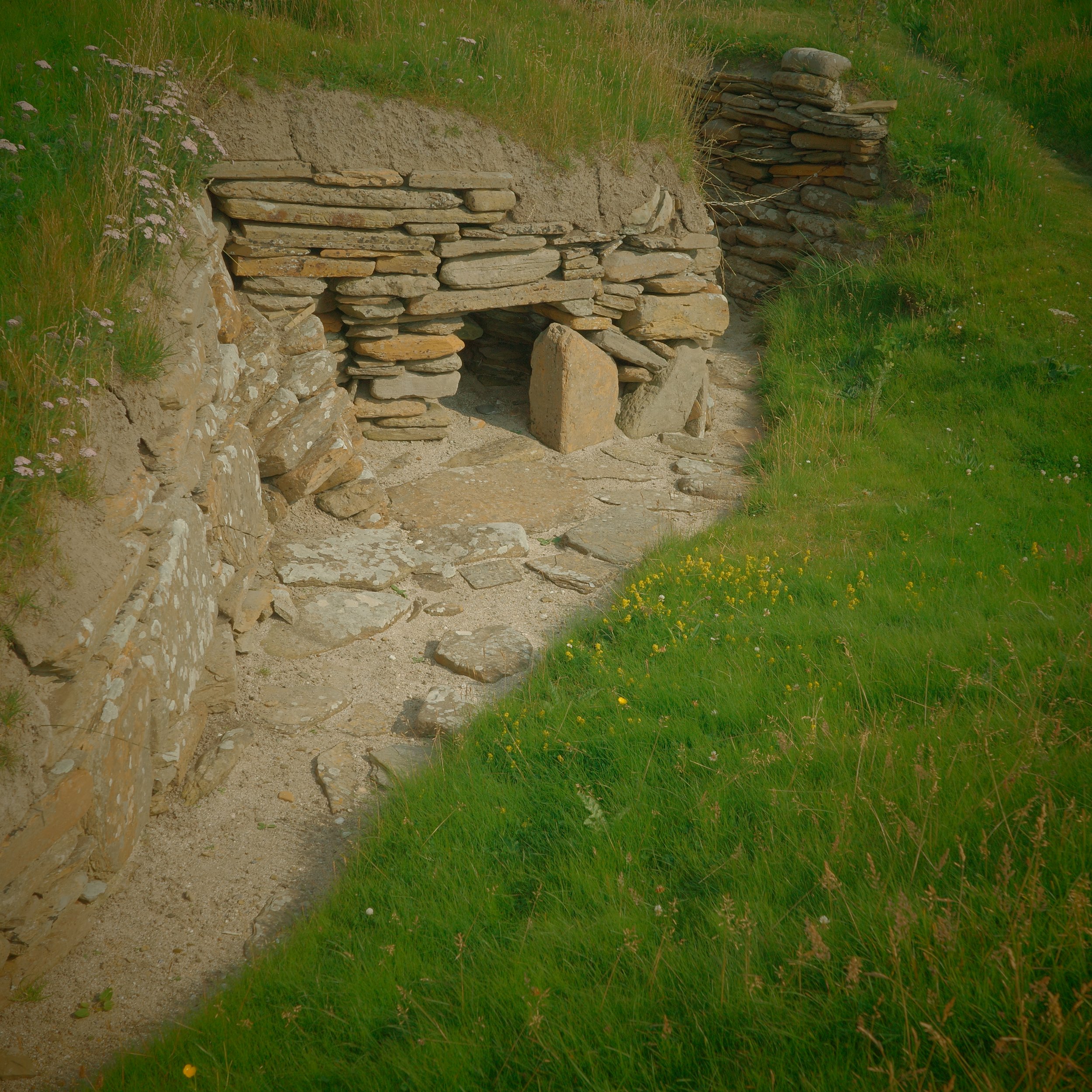 R0004472 2.JPG