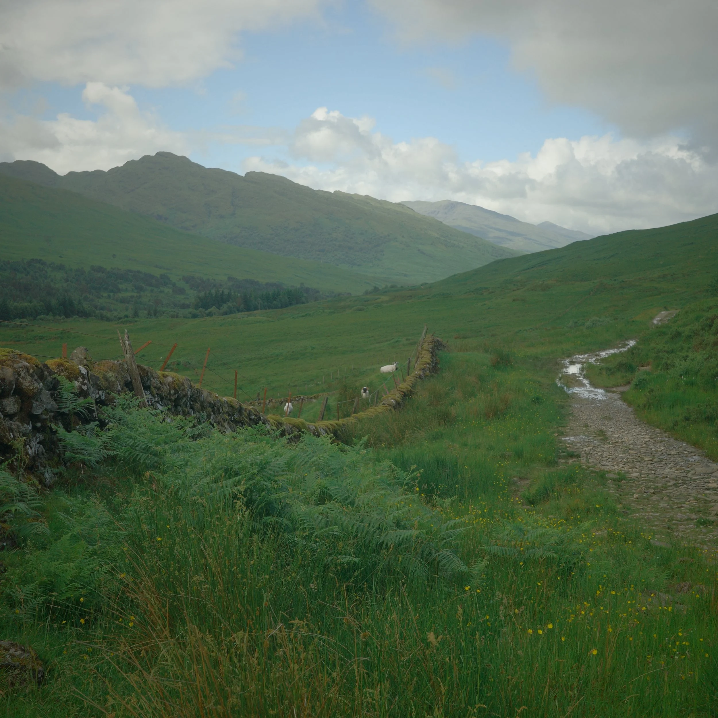 R0003867.JPG
