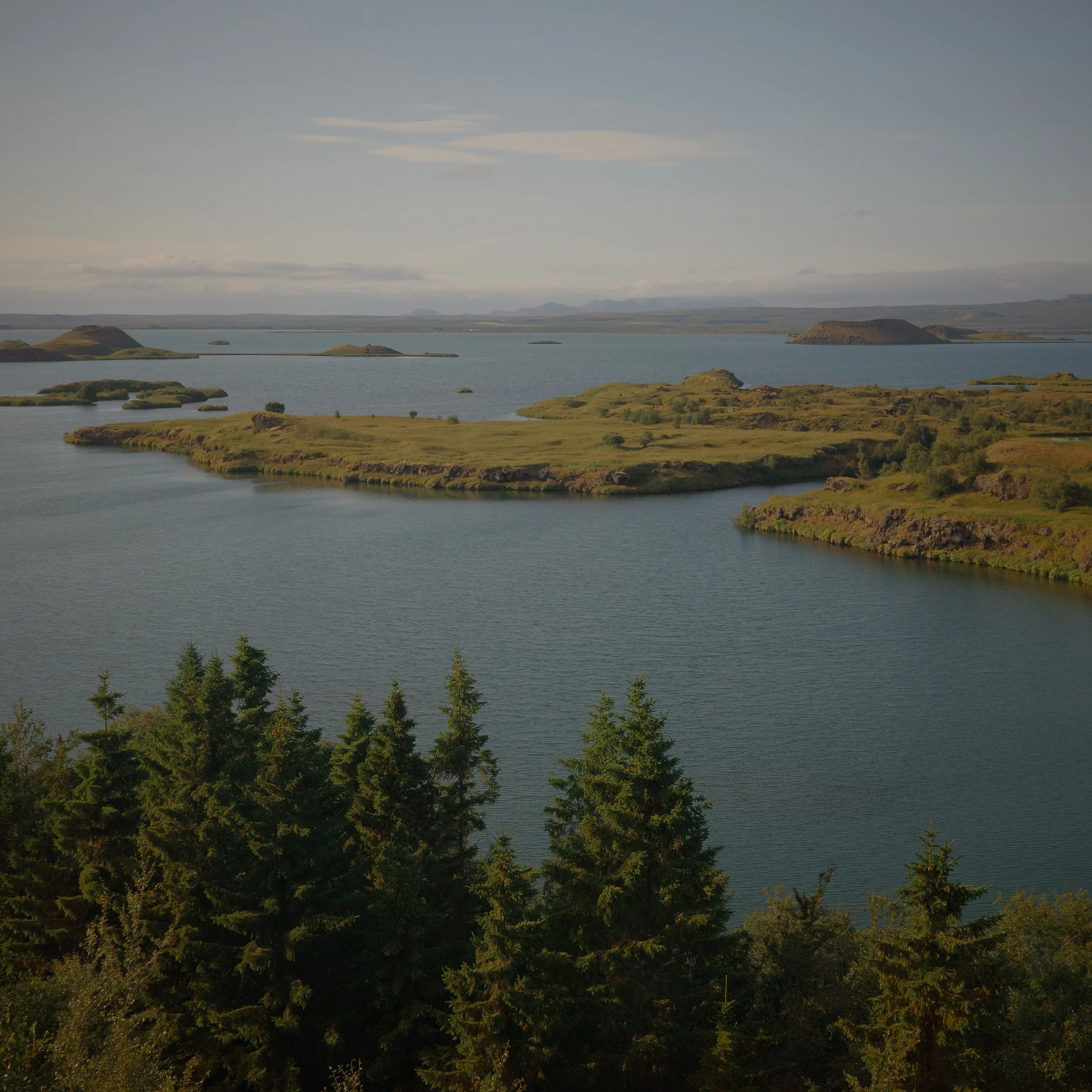 R0006979.JPG