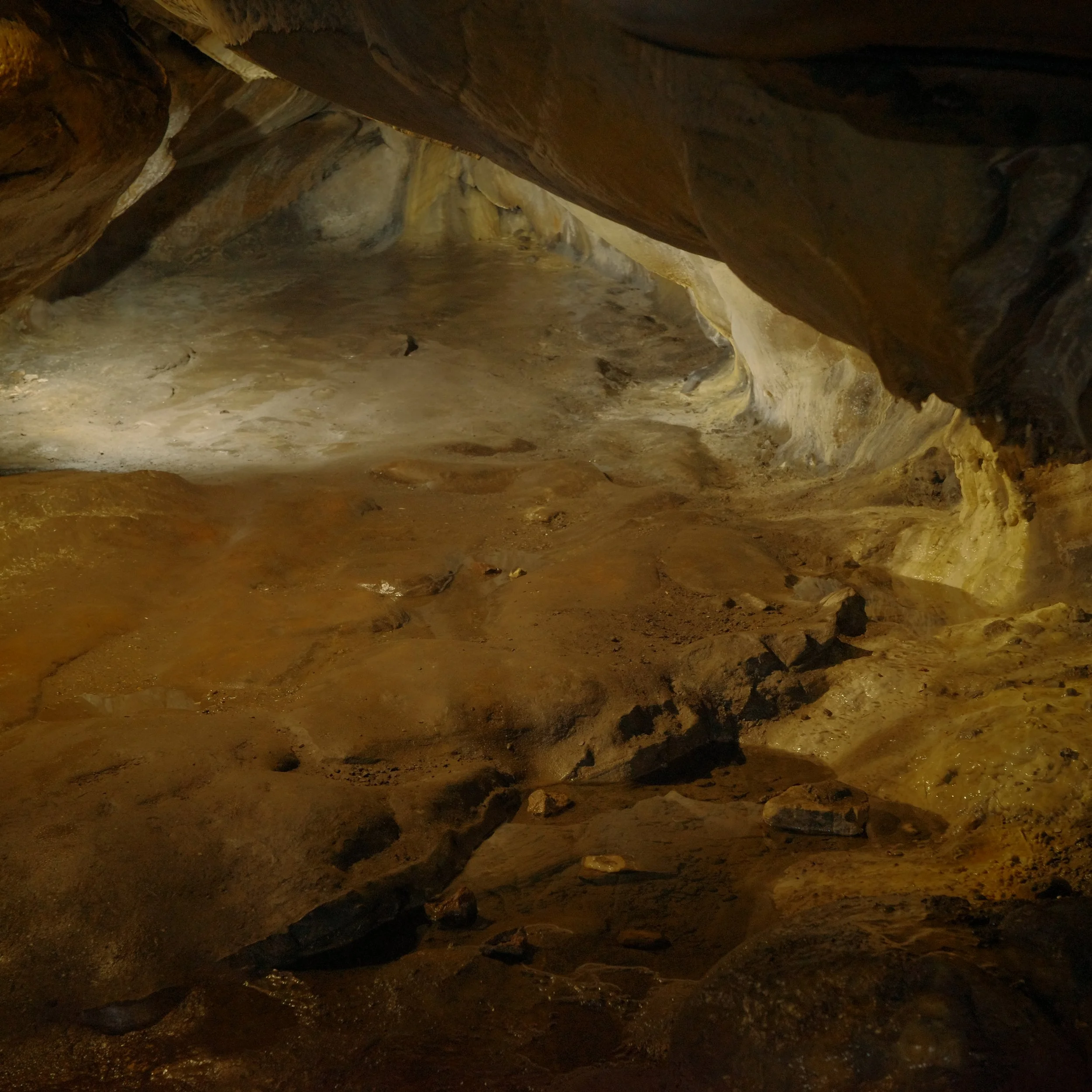 R0004964.JPG