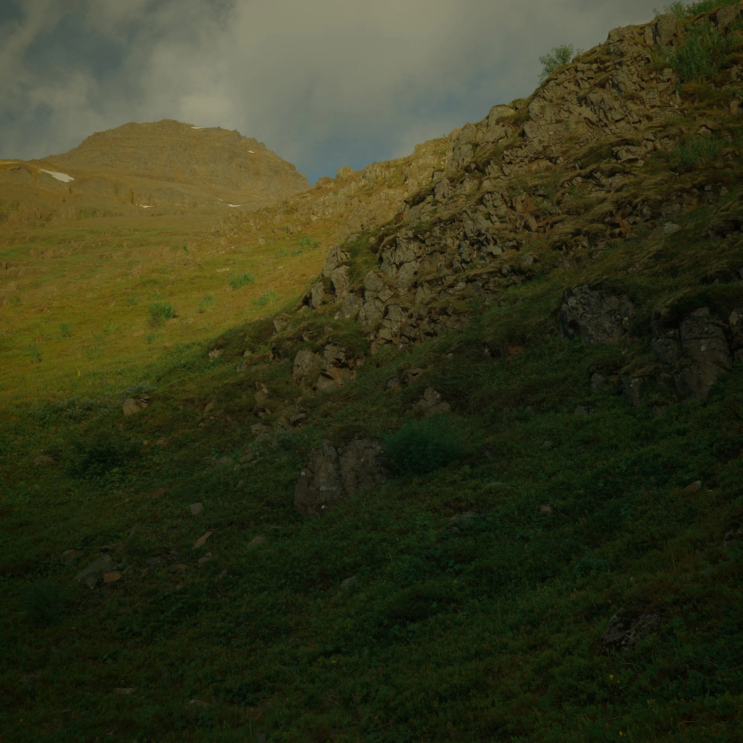 R0006271.JPG